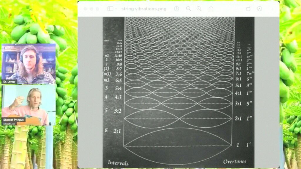 Music Theory Magick Harmony 432 Hz - Dr Narco Longo Old World Florida - Shareef Pringus
