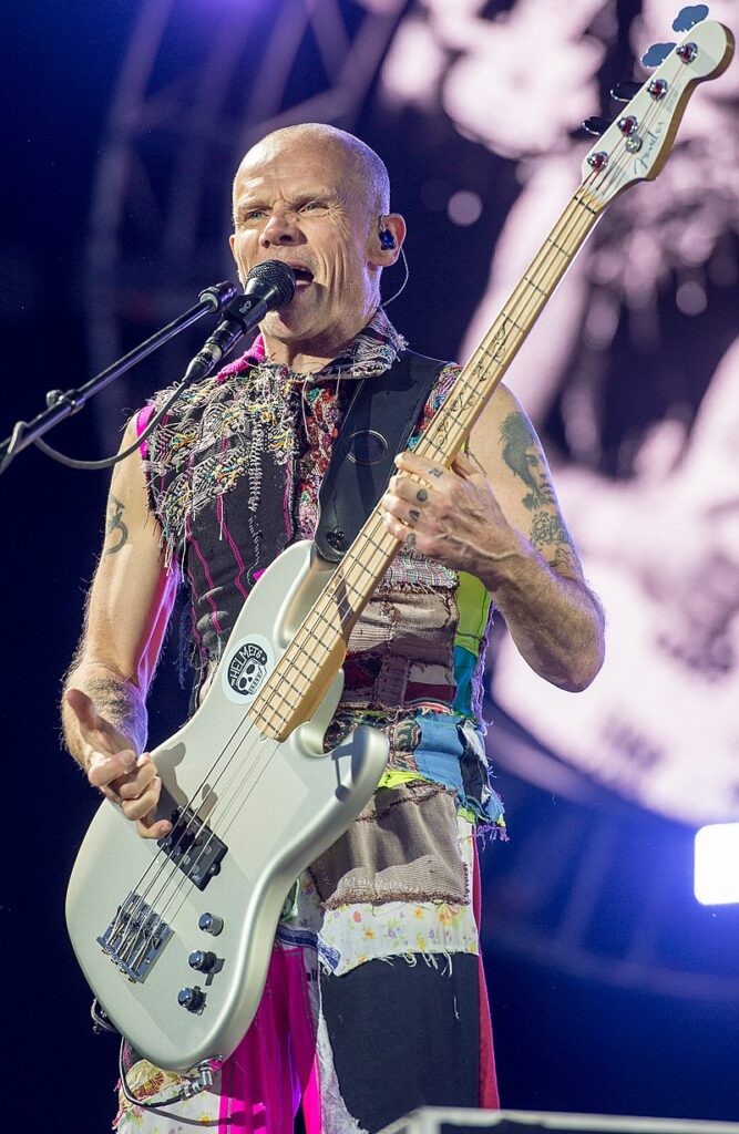 800px 2016 Red Hot Chili Peppers Michael Flea Balzary cropped